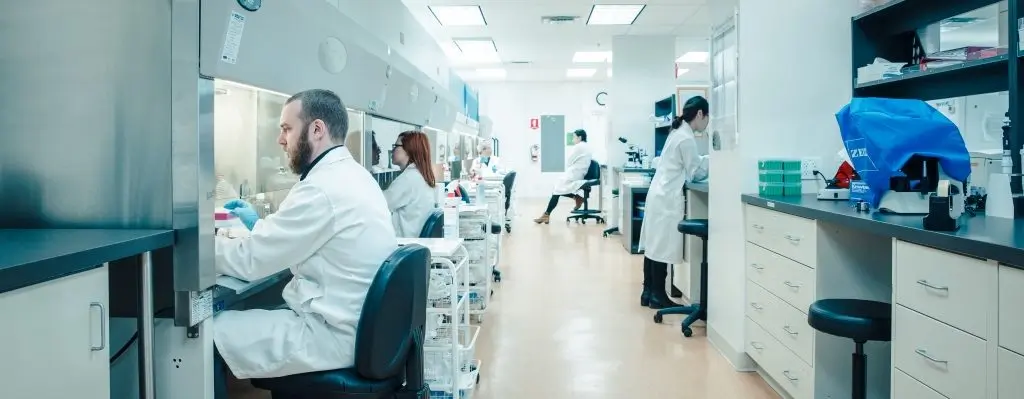 Investigadores de células madre en el laboratorio