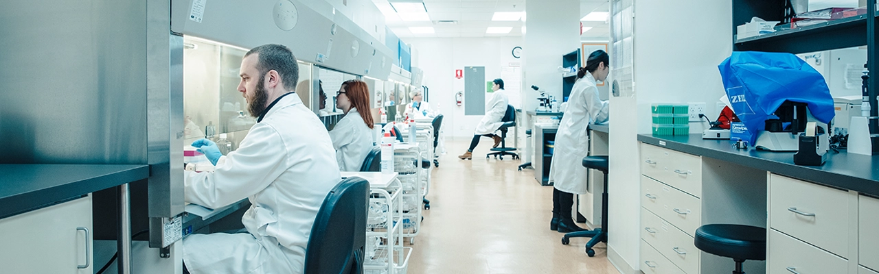 Investigadores de células madre en el laboratorio