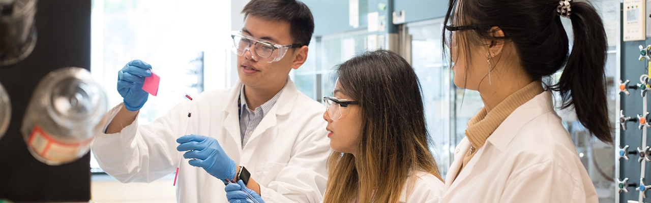 Estudiantes de ciencias de la vida de la UVIC en el laboratorio